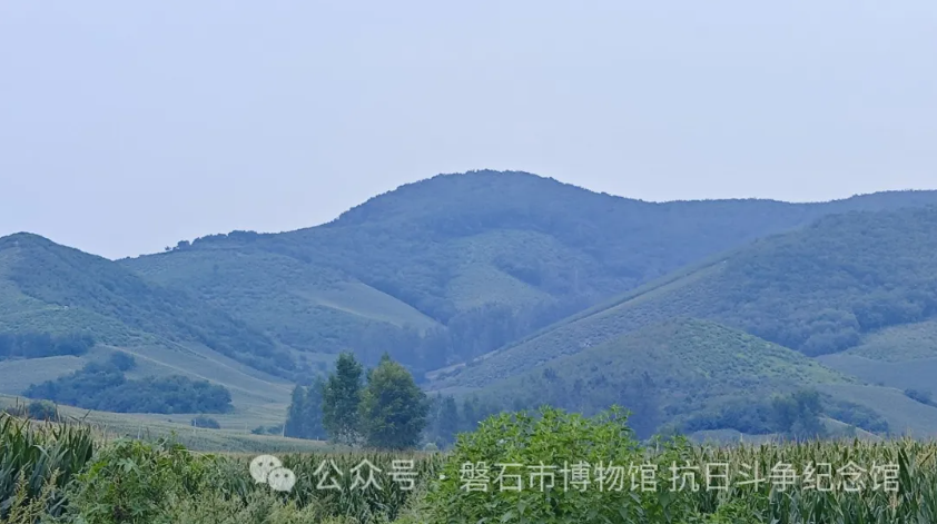 fe4ce75251658a3264c26e8079e3463.png fe4ce75251658a3264c26e8079e3463.png