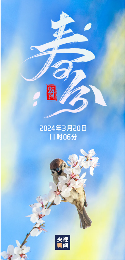 1824df82a77c542eba15fc1fcc2a2d0.png