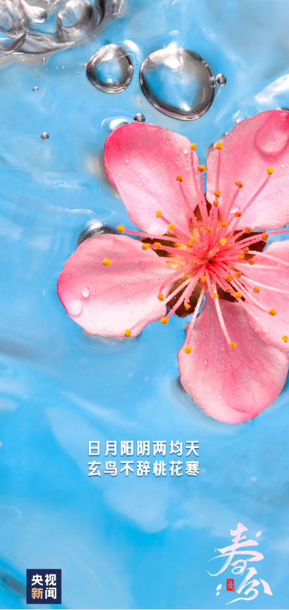 59bad00780f2e79fae285e8d00f7319.png