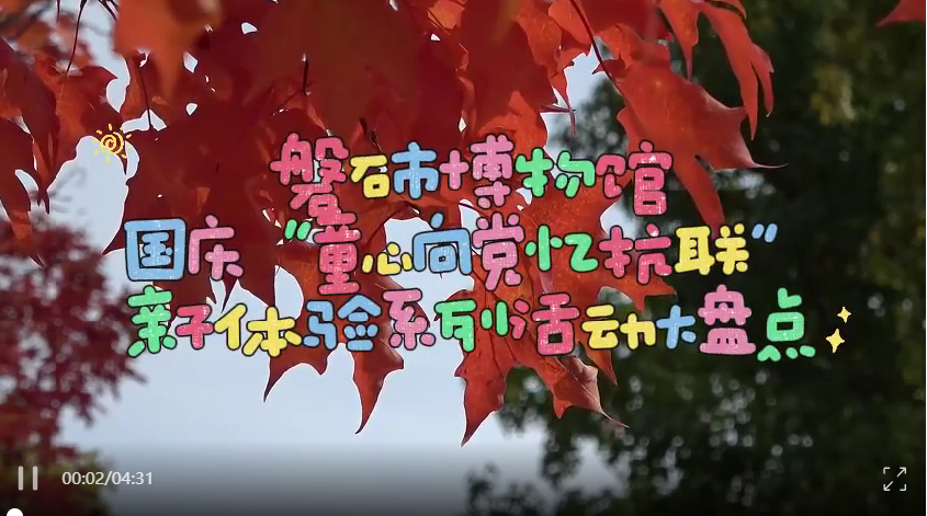 1746852931241.png