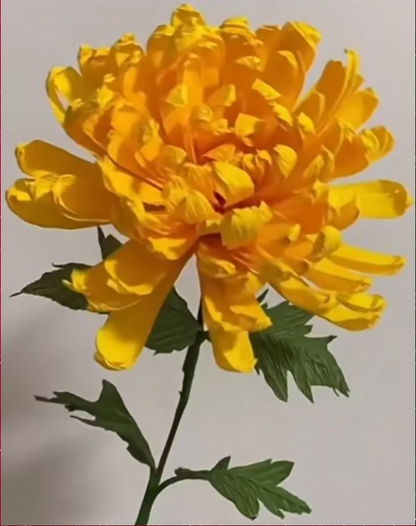 1747039207742.png 1747039207742.png